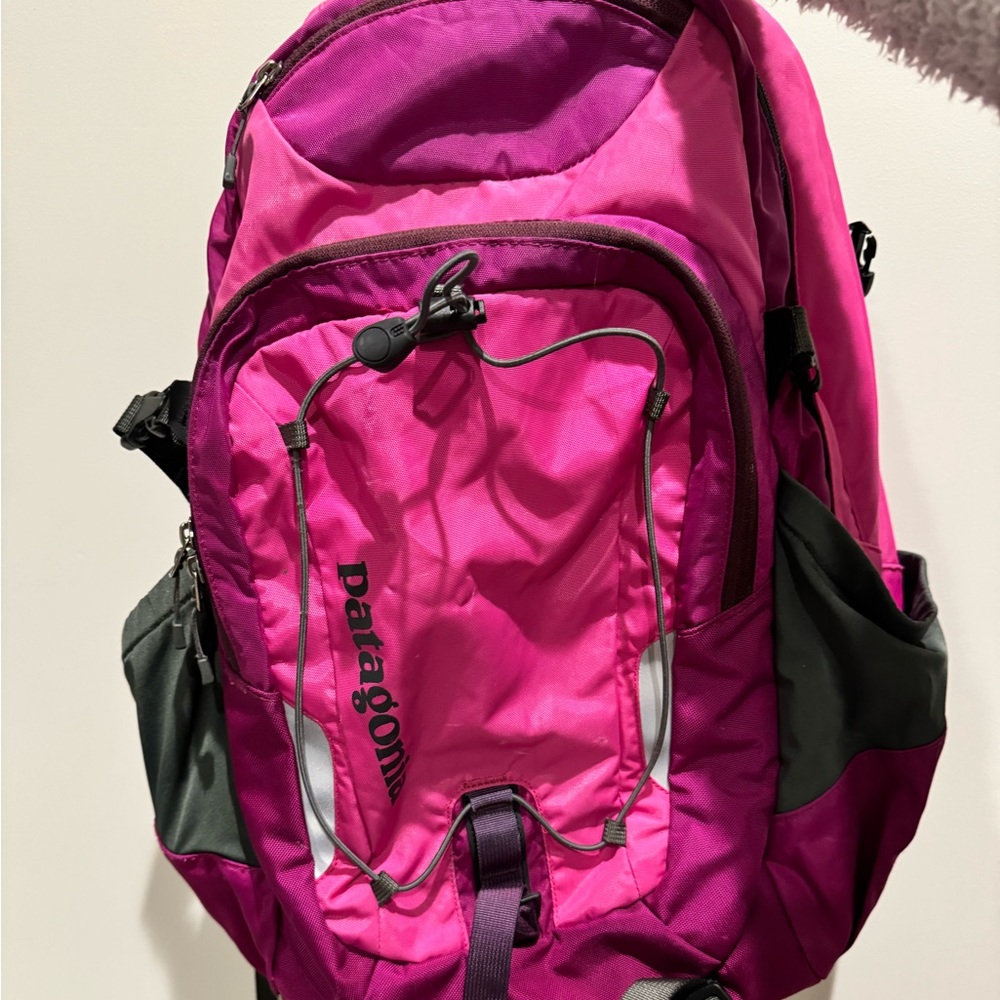 Patagonia Backpack